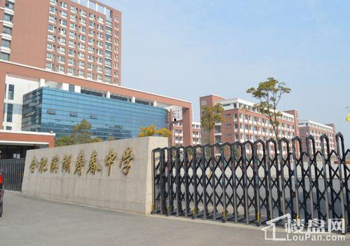 合肥高中爆料事件最新情况,真相逐步浮出水面,学生家长权益引关注 第1张 合肥高中爆料事件最新情况,真相逐步浮出水面,学生家长权益引关注 第1张