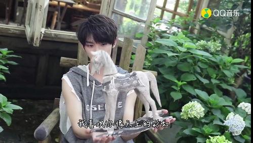 娱乐大爆料时代少年团,娱乐大爆料时代,青春偶像的崛起之路 第3张 娱乐大爆料时代少年团,娱乐大爆料时代,青春偶像的崛起之路 第3张